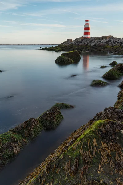 Vuurtoren aan de Noordzee — Stockfoto