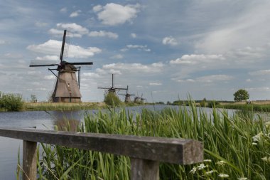 tipik bir Hollandalı peyzaj eski yel değirmenleri