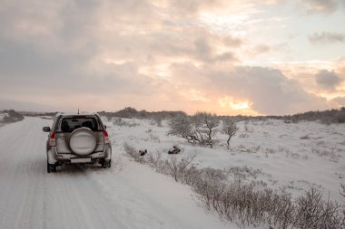 Güzel İzlanda manzarası