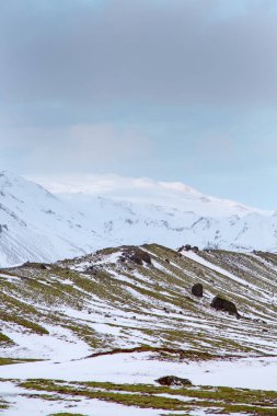 Güzel İzlanda manzarası