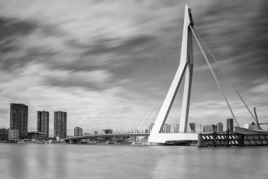 Erasmus bridge Rotterdam 