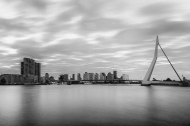 Erasmus bridge Rotterdam  clipart