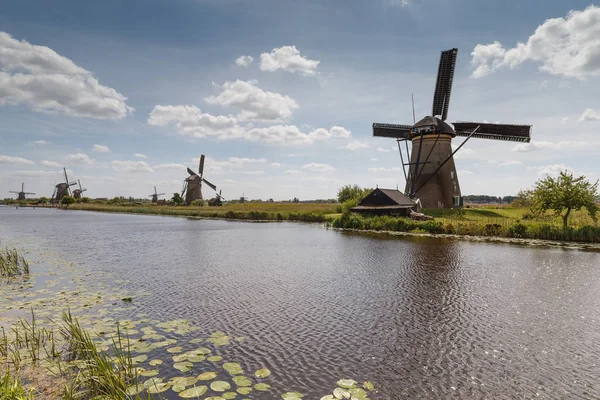 Viejos molinos de viento en un paisaje típico holandés — Foto de Stock