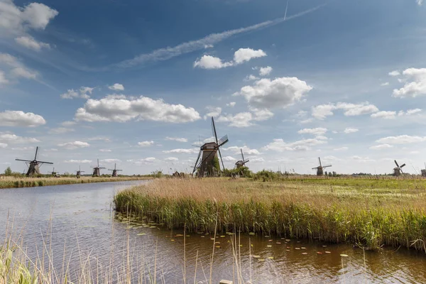 Régi szélmalom, egy tipikus holland táj — Stock Fotó