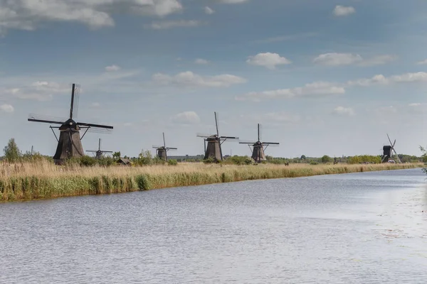 Alte Windmühlen in einer typisch holländischen Landschaft — Stockfoto
