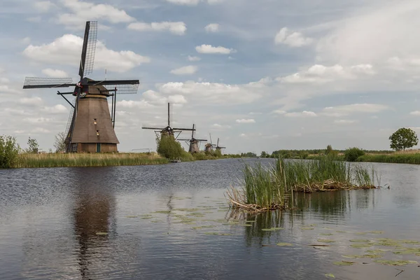 Régi szélmalom, egy tipikus holland táj — Stock Fotó