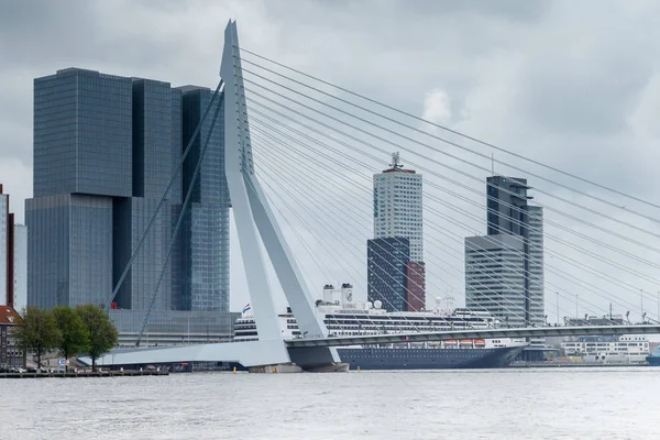Erasmusbrücke Rotterdam — Stockfoto