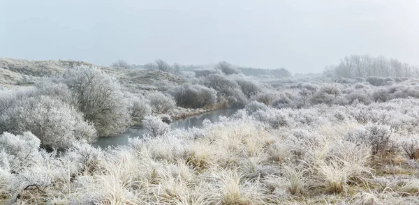 Rijm landschap in de Nederlandse duinen — Stockfoto