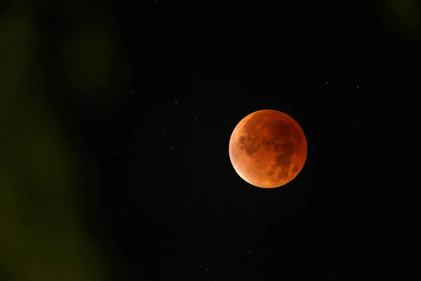 Bloody moon on dark sky — Stock Photo, Image