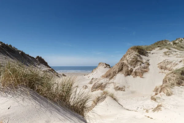 Sandy Dunes at the North Sea — Stock Photo, Image