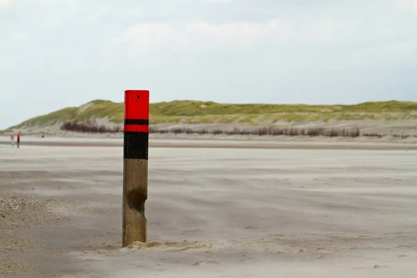 Sandy duinen aan de Noordzee — Stockfoto