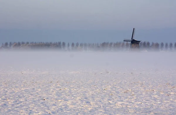 荷兰下雪的冬天景观 — 图库照片