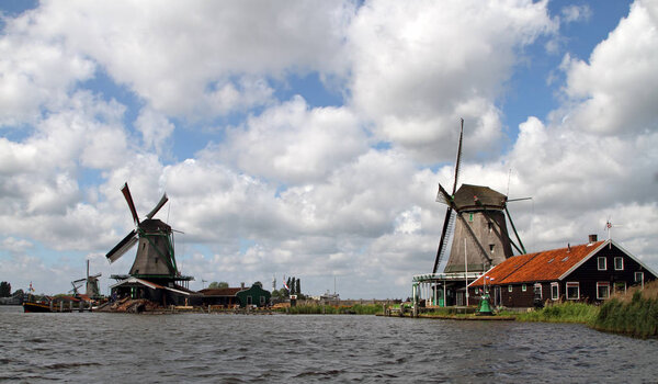 old windmills  in a typical Dutch landscape