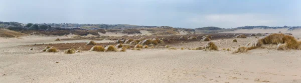 Raureif-Landschaft in den holländischen Dünen — Stockfoto