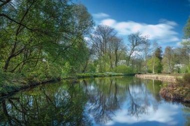 Hollandalı Parkı'nda güneşli bir gün