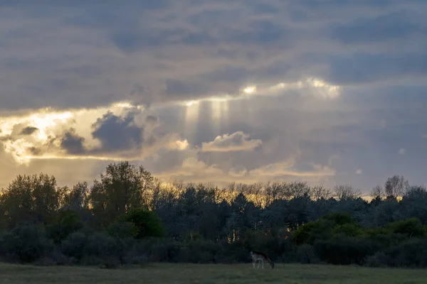 Dark clouds and some sun rays