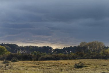Hollandalı dunes üzerinde kara bulutlar 