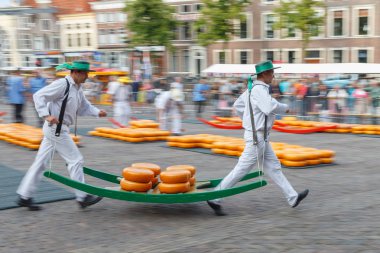 Ünlü Hollandalı peynir pazarı
