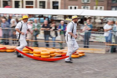 Ünlü Hollandalı peynir pazarı