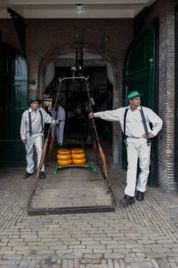 Ünlü Hollandalı peynir pazarı