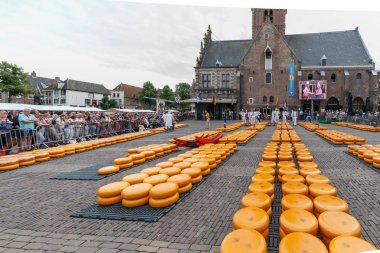 Ünlü Hollandalı peynir pazarı