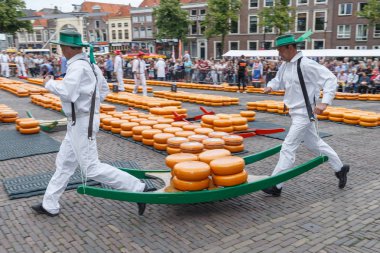 Ünlü Hollandalı peynir pazarı