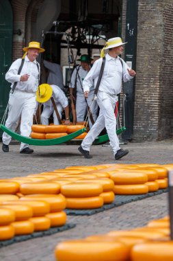 Ünlü Hollandalı peynir pazarı