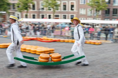 Ünlü Hollandalı peynir pazarı