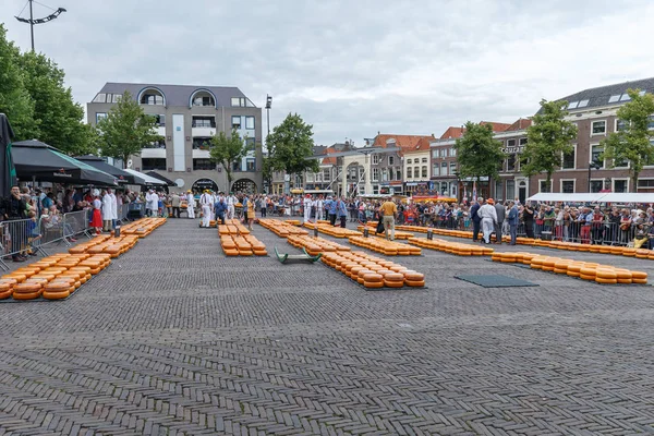 Ünlü Hollandalı peynir pazarı