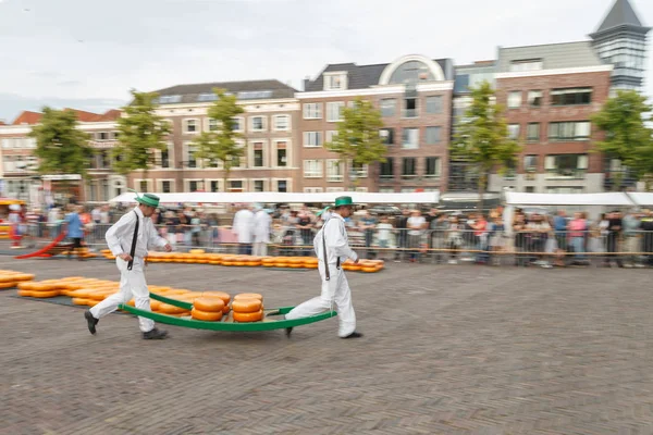 Ünlü Hollandalı peynir pazarı