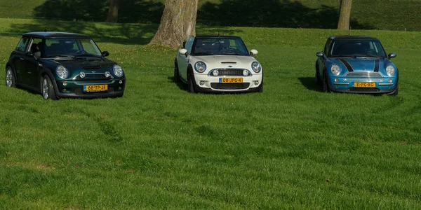 Holandii Października 2017 Trzy Rodzaje Nowych Samochodów Mini Stojąc Trawie — Zdjęcie stockowe