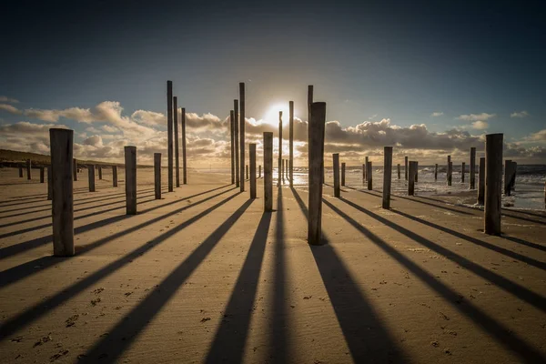 Palen Het Strand Van Petten Nederland Tijdens Zonsondergang Sterke Wind — Stockfoto