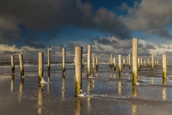 Polacy Holandii Plaży Petten Podczas Zachód Słońca Silny Wiatr Dzieło — Zdjęcie stockowe