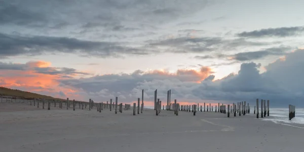 Stangen Strand Von Petten Niederlande Bei Sonnenuntergang Und Starkem Wind — Stockfoto