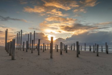 Polonyalılar beach Petten Hollanda sırasında gün batımı ve güçlü Rüzgar, kum sanat eseri