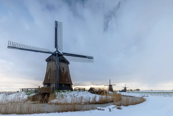 Holland Szélmalmok Téli Táj — Stock Fotó