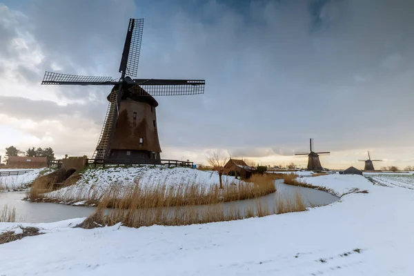 Netherlands Windmills Winter Landscape — Stock Photo, Image