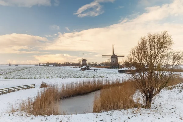 Niederländische Windmühlen Einer Winterlandschaft — Stockfoto