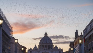 St. Peter's Cathedral