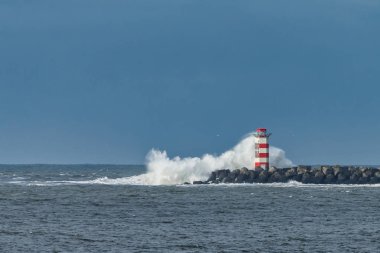 Kuzey Denizi 'ndeki Ijmuiden rıhtımındaki deniz feneri yukarıdan görüldü..