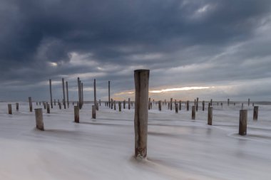 Denizde ahşap direklerin doğal görünümünü