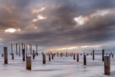 Denizde ahşap direklerin doğal görünümünü