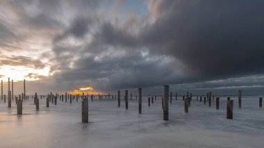 Denizde ahşap direklerin doğal görünümünü