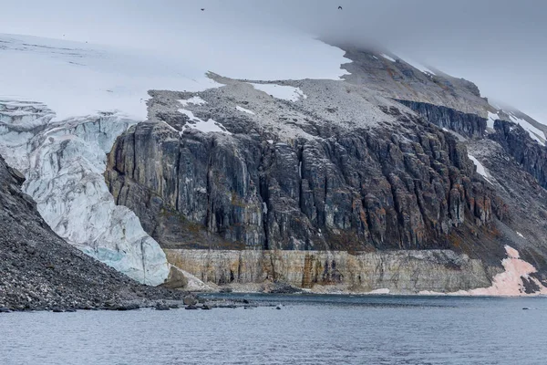 Icebergs Dans Neige — Photo