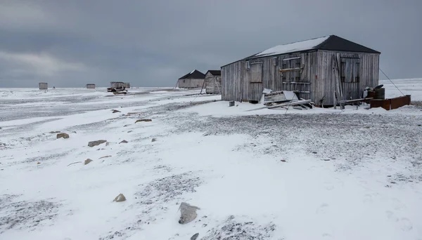 Karla Kaplı Evleri Olan Kış Manzarası — Stok fotoğraf