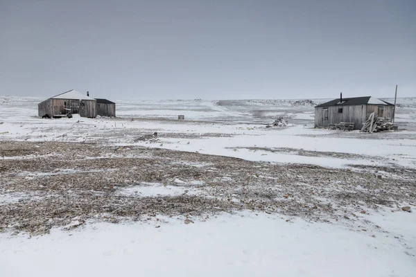 Karla Kaplı Evleri Olan Kış Manzarası — Stok fotoğraf