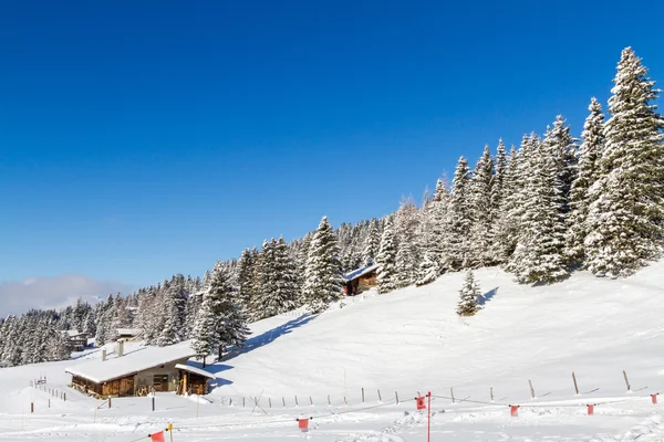 İsviçre Alplerinde.