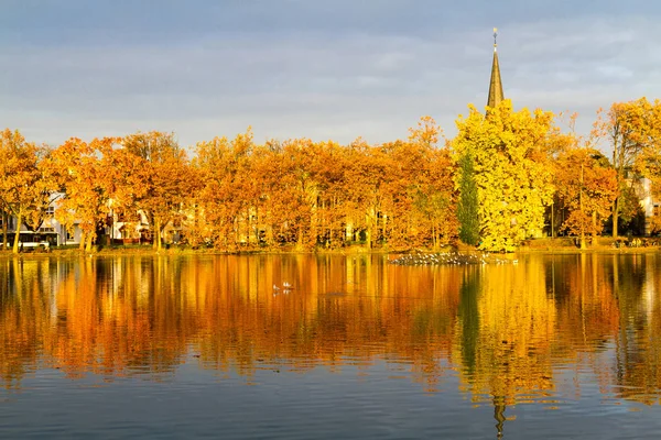 renkli sonbahar manzarası