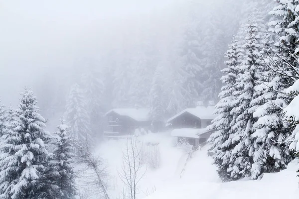 İsviçre kış manzarası