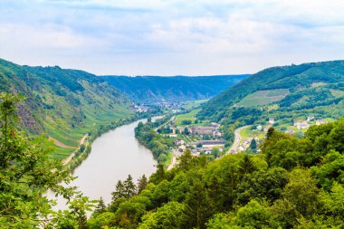 The view of the Mosel Valley clipart